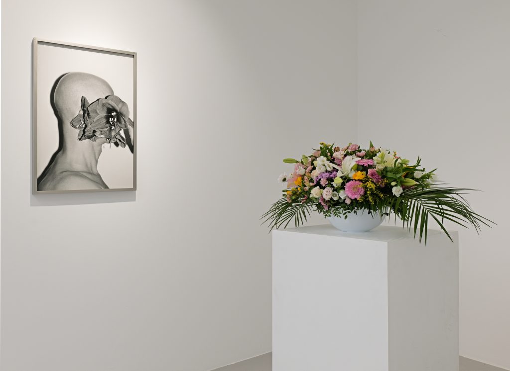 Galerie Poggi, Paris (FR), 2026, Exhibition view "Summer Show : Masterpieces from the gallery"