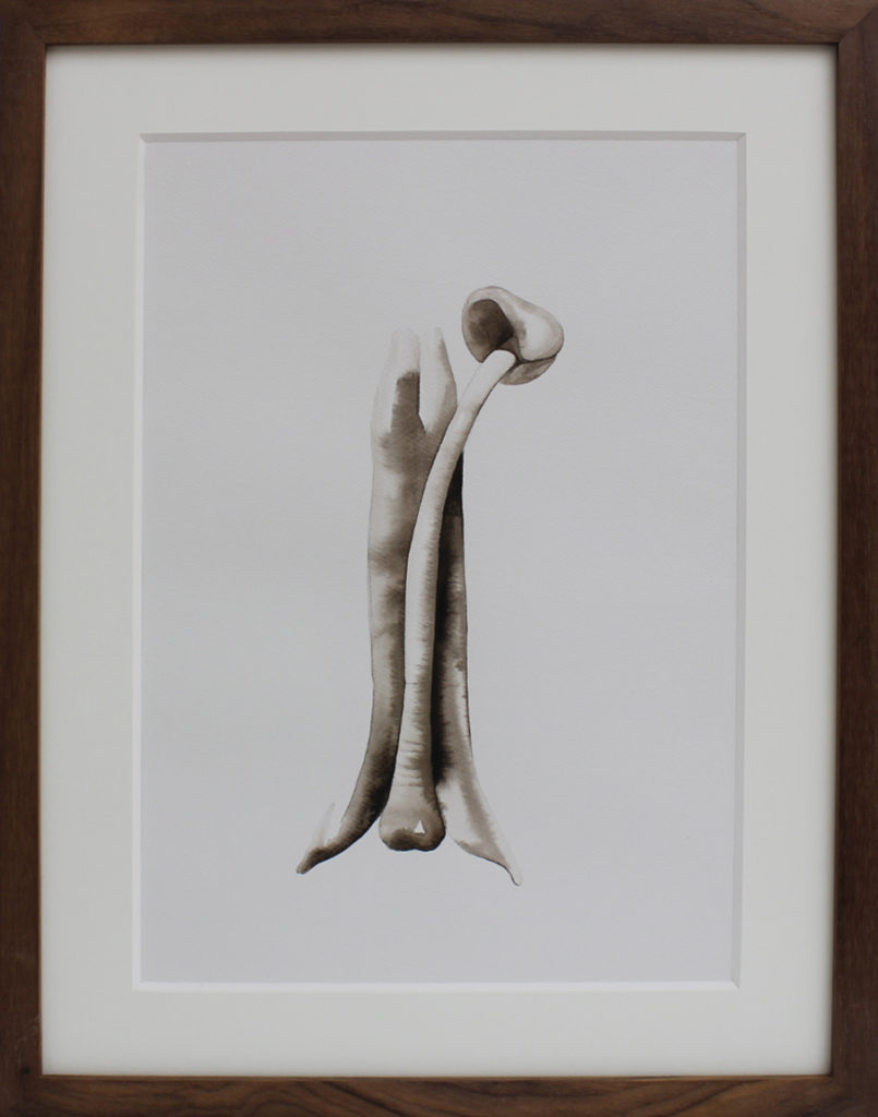 Nikita Kadan, Attis #4, 2018, Encre sur papier encadré, 38,5 x 30 cm - Galerie Poggi