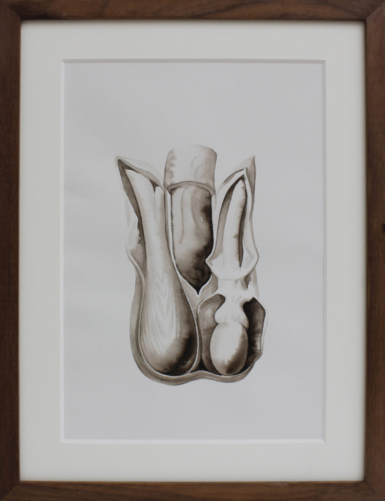 Nikita Kadan, Attis #7, 2018, Encre sur papier encadré, 38,5 x 30 cm - Galerie Poggi