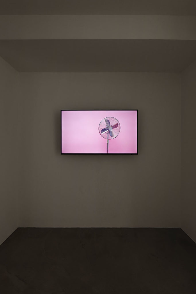 Kapwani Kiwanga, Nations, Galerie Poggi, 2020