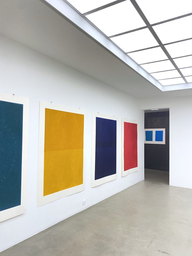Kees Visser, "Monochromes ?", Galerie Poggi, 2022