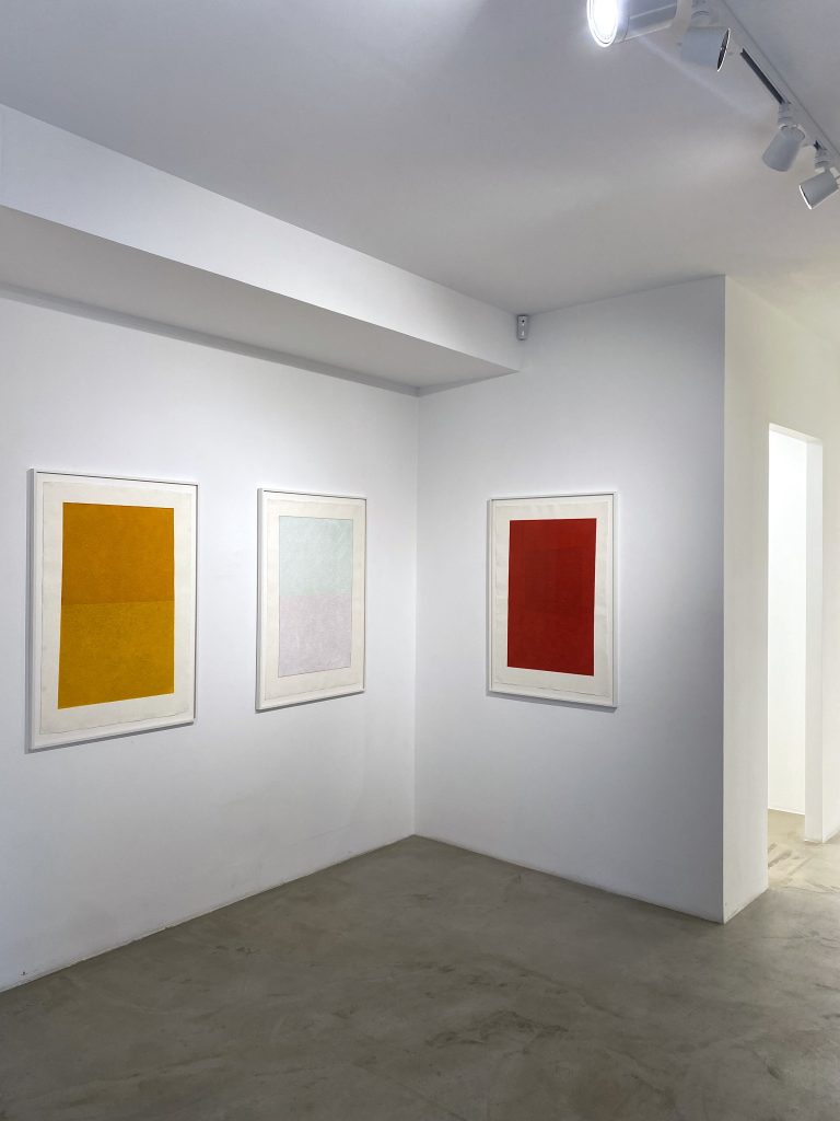 Kees Visser, "Monochromes ?", Galerie Poggi, 2022, Exhibition view