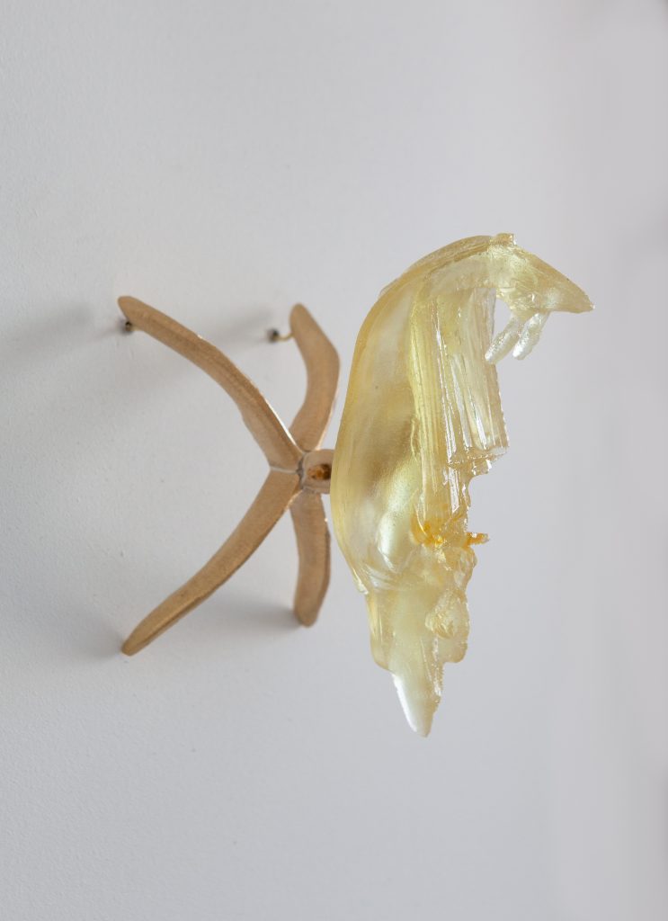 Ittah Yoda, Sol, 2022, Pâte de verre and brushed brass structure, 14 x 23 x 23 cm