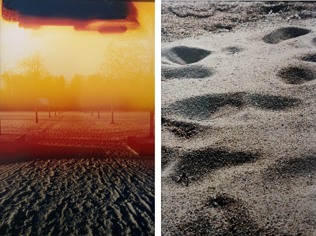 Georges Tony Stoll, Symphonies lentes, 2004, Silver print RA-4 color satin prestige, 82,5 x 122,5 cm (x2) framed, Edition of 5 plus 2 artist's proofs