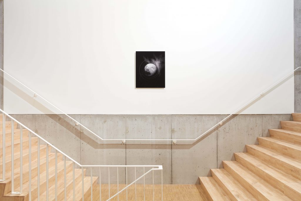 Wesley Meuris, Krieg Gallery, 2021, "Probes", Exhibition view
