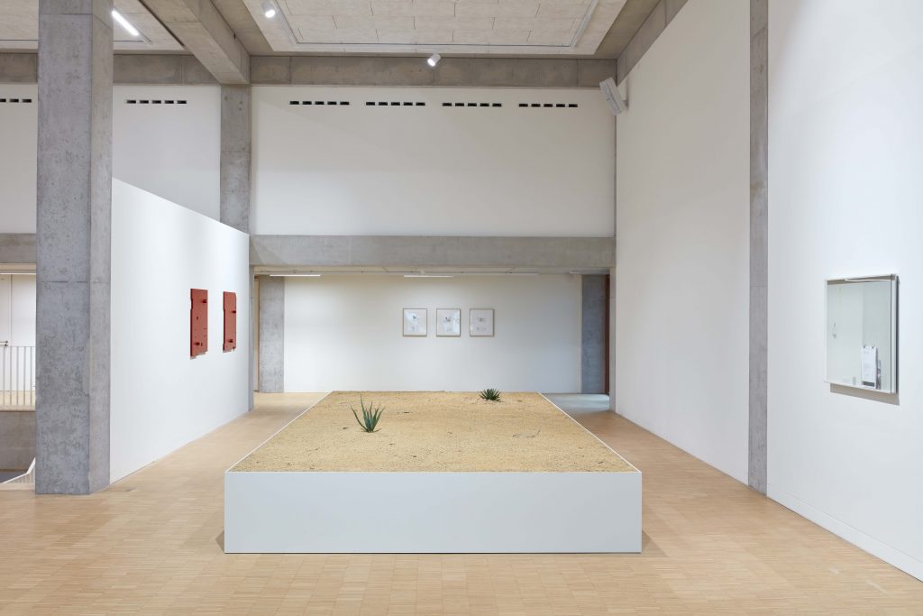 Wesley Meuris, Krieg Gallery, 2021, "Probes", Exhibition view