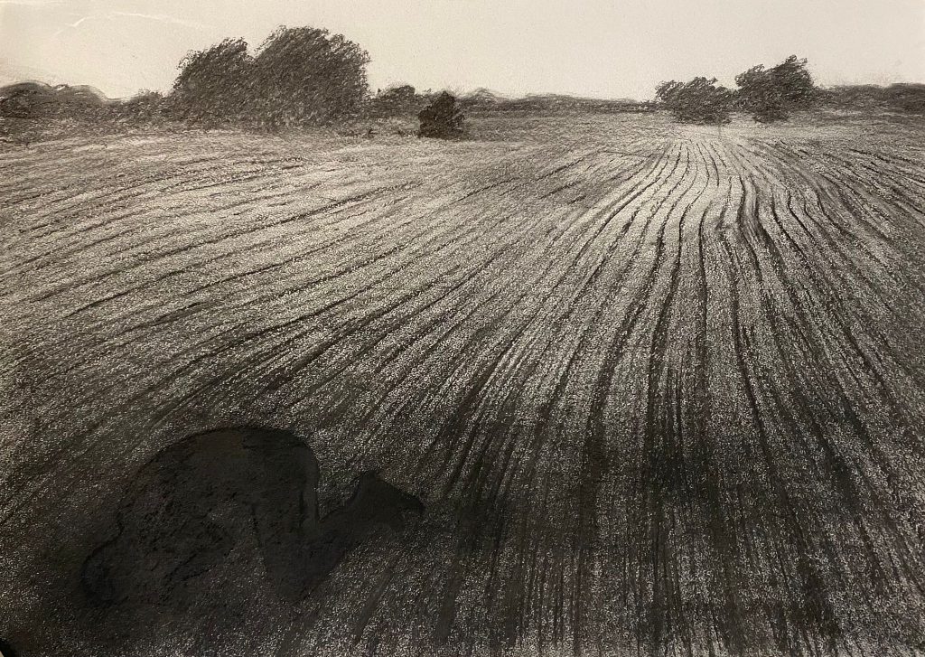 Nikita Kadan, The Shadow on the Ground III, 2022, Charcoal on paper, 61 x 85 cm
