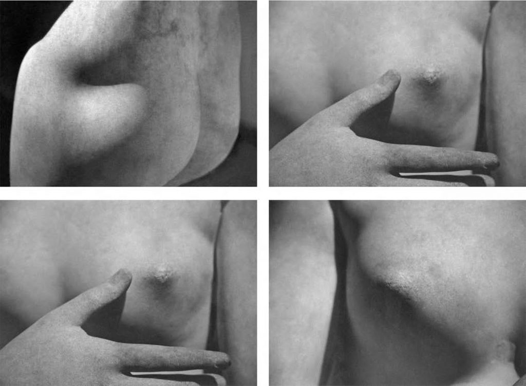 Dario Villalba, Pecho mármol, 2007, Mixed media on photolinic canvas (Quadriptych), 65 x 91 cm