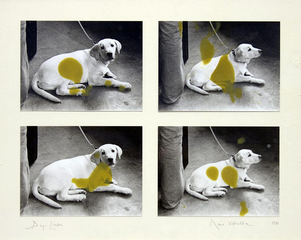 Dario Villalba, Dog. London (Documento basico), 1970, Mixed media on processed black and white photograph, 54,5 x 66,5 cm