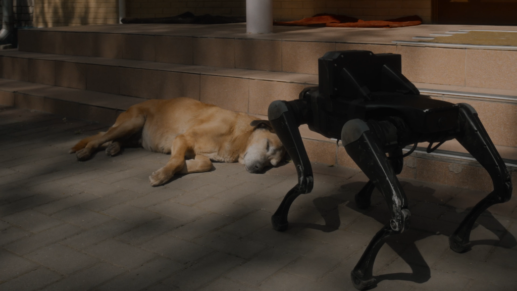 Yarema Malashchuk & Roman Khimei, Open World, 2025, Two-channel video projection, sound, 19 min