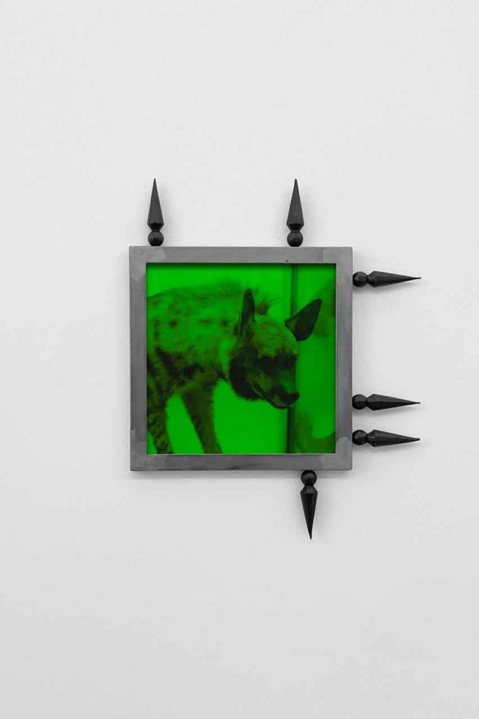 Andro Eradze, Untitled, 2024, Digital print on Hahnemühle Photo Rag, metal frame, 68.5 x 55.5 x 3 cm