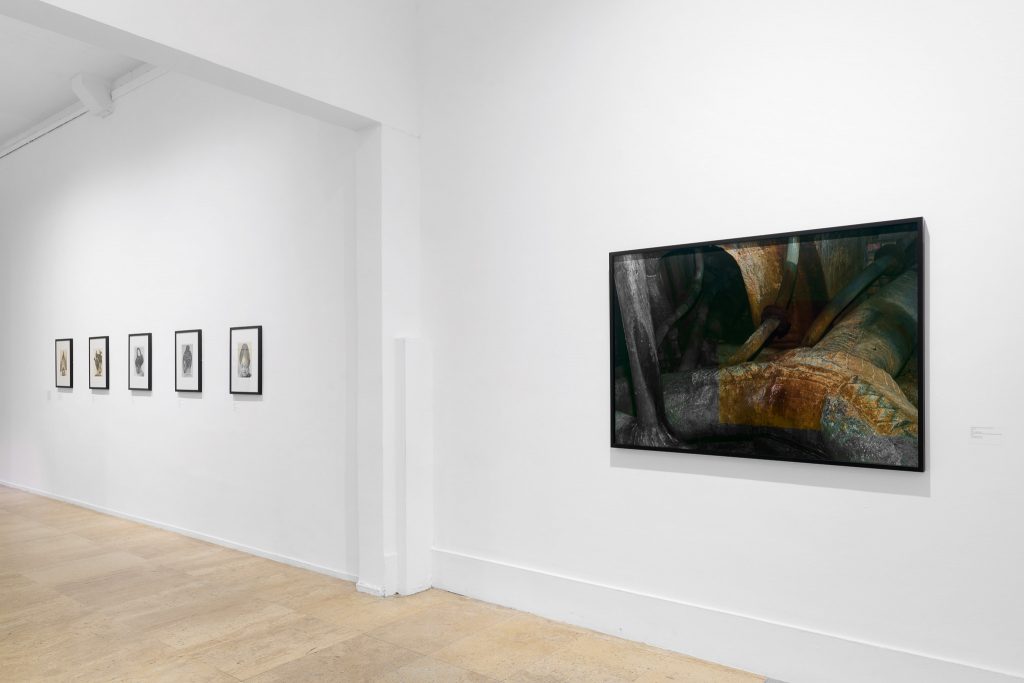 Sophie Ristelhueber, Musée d'Art Moderne de Paris (FR), 2023, Exhibition view, « Acquisitions », @MAM Paris Musées ©Pierre Antoine