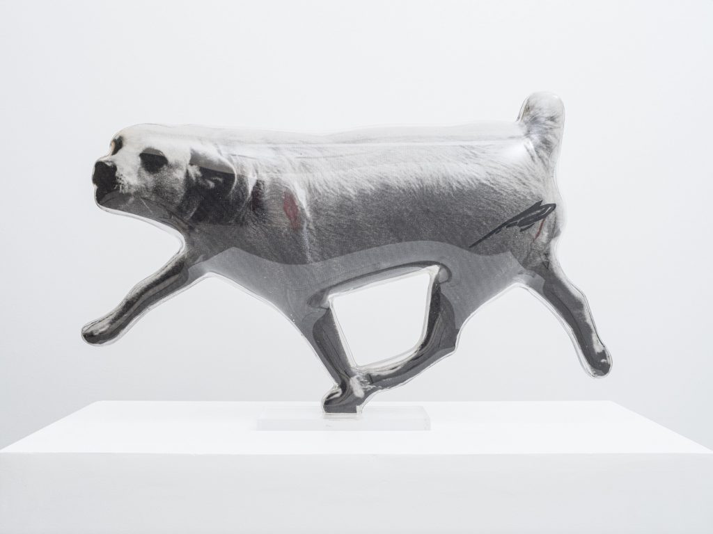 Darío Villalba, Perro, 1974, Oil on photographic emulsion mounted on mirror, methacrylate, 70 x 46 x 13 cm