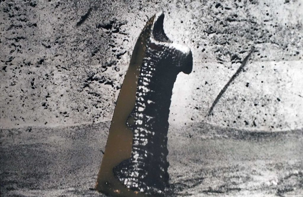 Darío Villalba, Trompa, 1995, Mixed media on photolinen, 150 x 238 cm