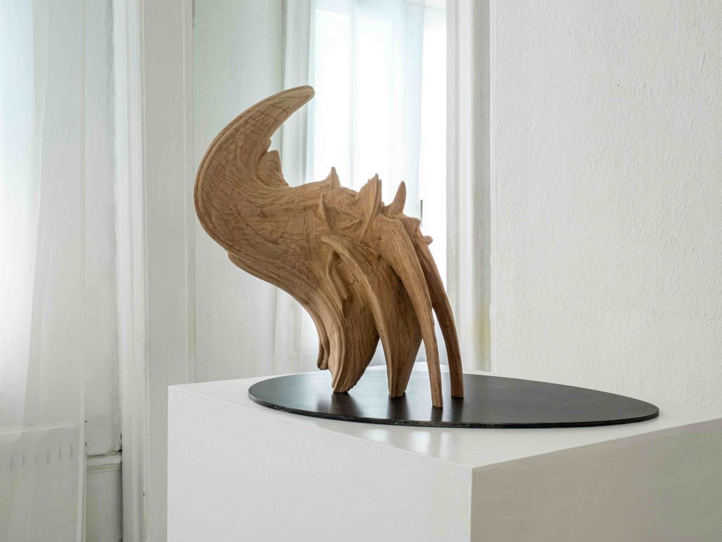 Ittah Yoda, Künstlerhaus Göttingen (DEU), 2025, Exhibition view, "Dander the Symbiocene", Photo : © Peter Heller