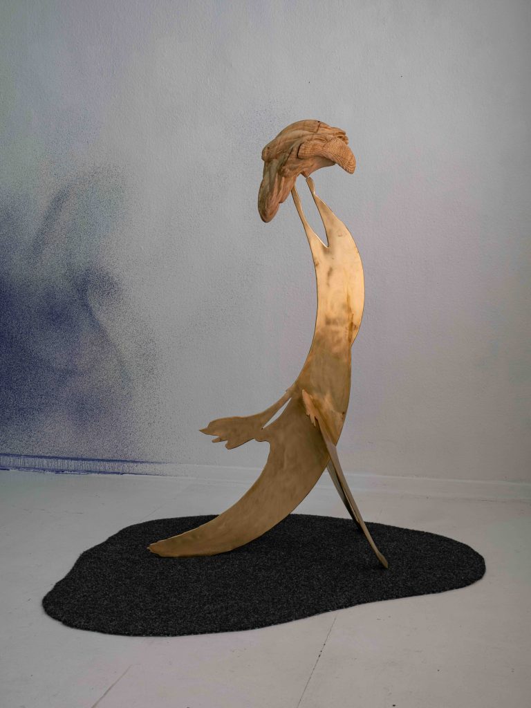 Ittah Yoda, Künstlerhaus Göttingen (DEU), 2025, Exhibition view, "Dander the Symbiocene", Photo : © Peter Heller