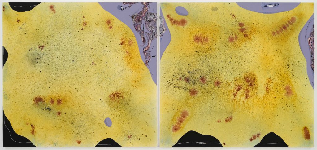 Manuel Mathieu, Borders, 2024, Mixed medias on canvas, 75 x 80 in, 190.5 x 203.2 cm, Diptyque