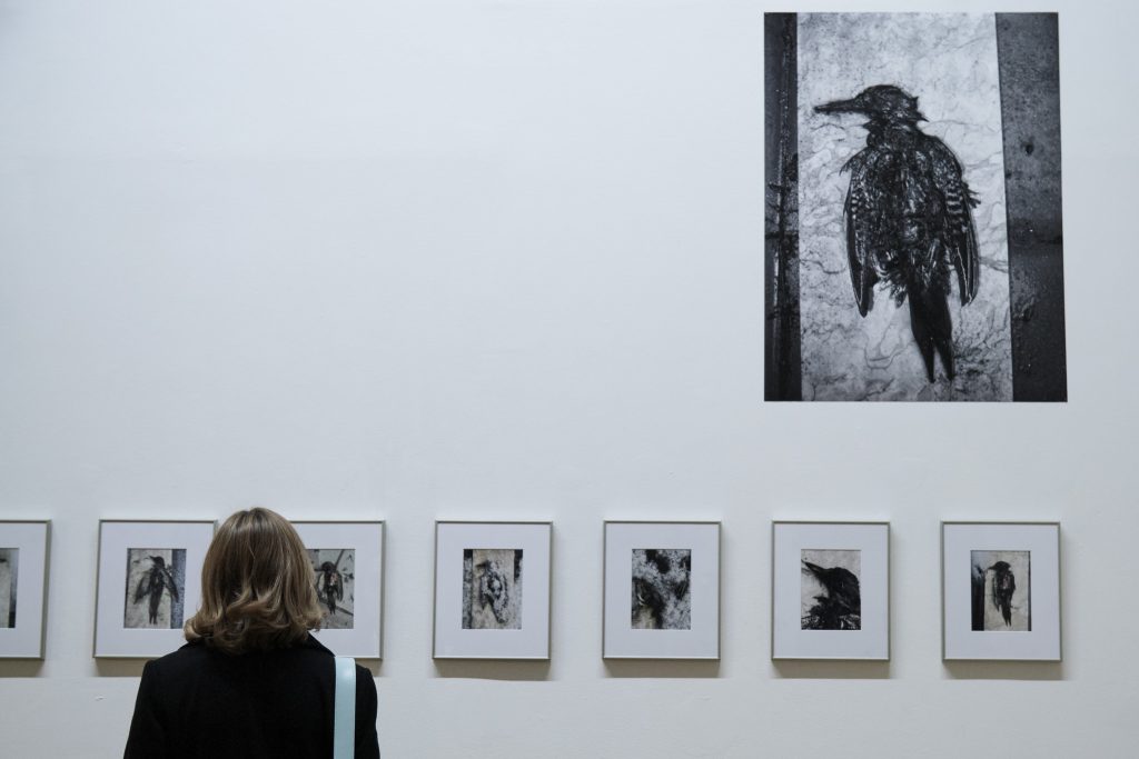 Nikita Kadan, Musée National d'Art d'Ukraine, Kyiv, 2025, Exhibition view
