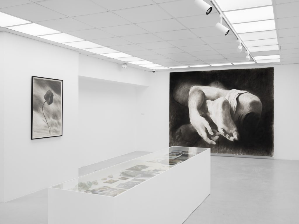 Nikita Kadan, Galerie Poggi, Paris (FR), 2025, "Rubble Flowers", Exhibition view, © .Kit