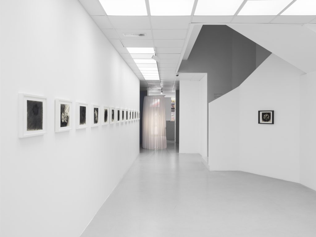 Nikita Kadan, Galerie Poggi, Paris (FR), 2025, "Rubble Flowers", Exhibition view, © .Kit