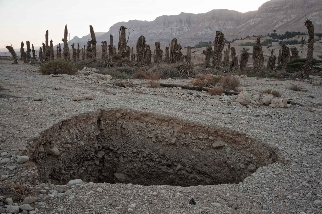 Sophie Ristelhueber, Palmæ #11, 2024, Digital print, 66.5 x 100 cm, Edition of 3 + 2 AP