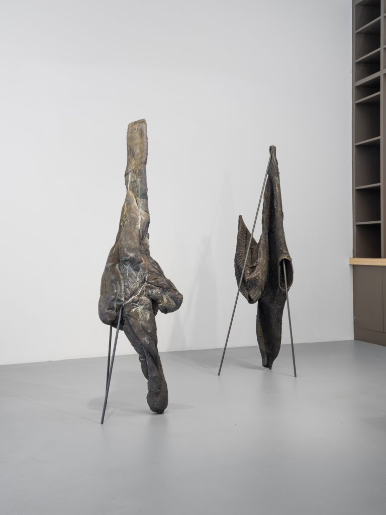 Stefan Papco, Galerie Poggi, Paris, 2025, Exhibition view, "Floating Mountain", Photo : .Kit