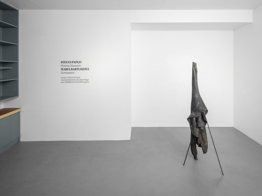 Stefan Papco, Galerie Poggi, Paris, 2025, Exhibition view, "Floating Mountain", Photo : .Kit