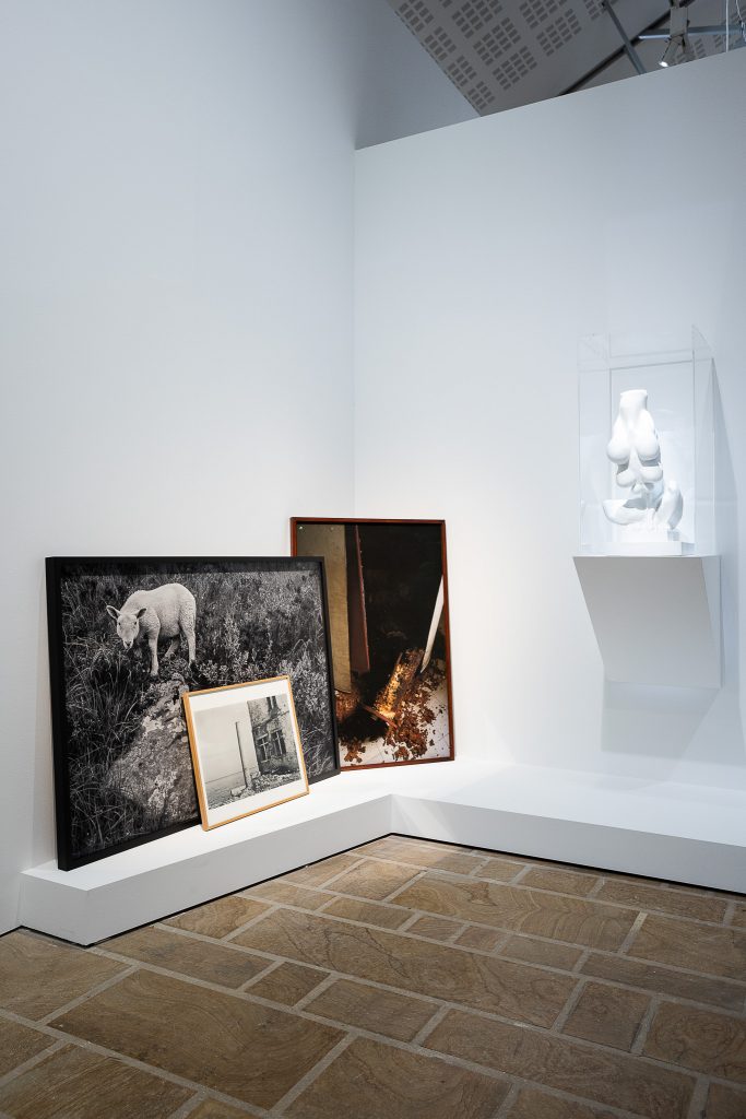 Sophie Ristelhueber, Fonds Hélène & Édouard Leclerc pour la culture, Landerneau (FR), 2025, Exhibition view, « Animal !? », Photo : N.Savale ©FHEL2025