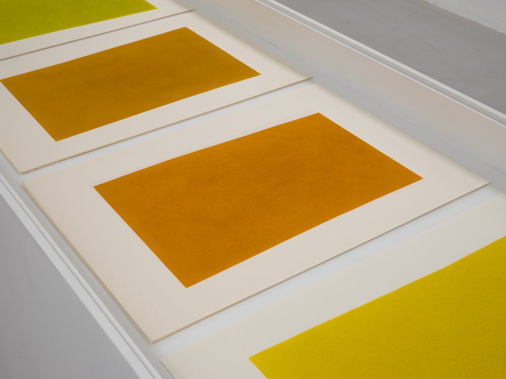 Galerie Poggi, "DREAM MACHINE", 2025, Exhibition view, © .Kit